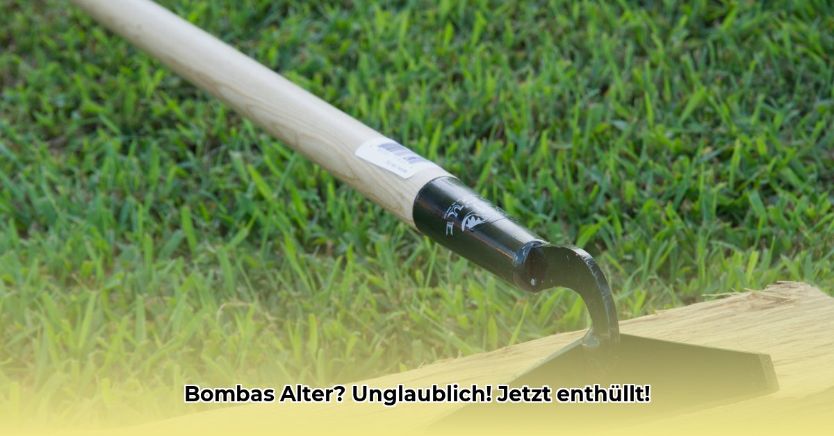 hoe-oud-is-de-bomma-van-familie